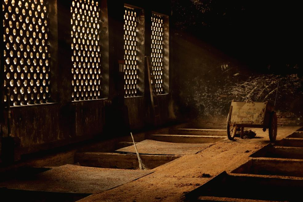 央媒點贊四特酒！ 深度解讀四特酒守正創(chuàng)新的品牌精神內核